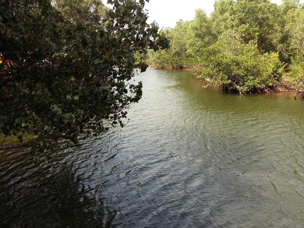 Mangroves & More @ Cambodia Sihanoukville Exteriör bild