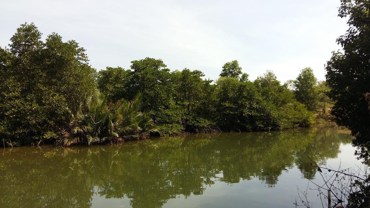 Mangroves & More @ Cambodia Sihanoukville Exteriör bild