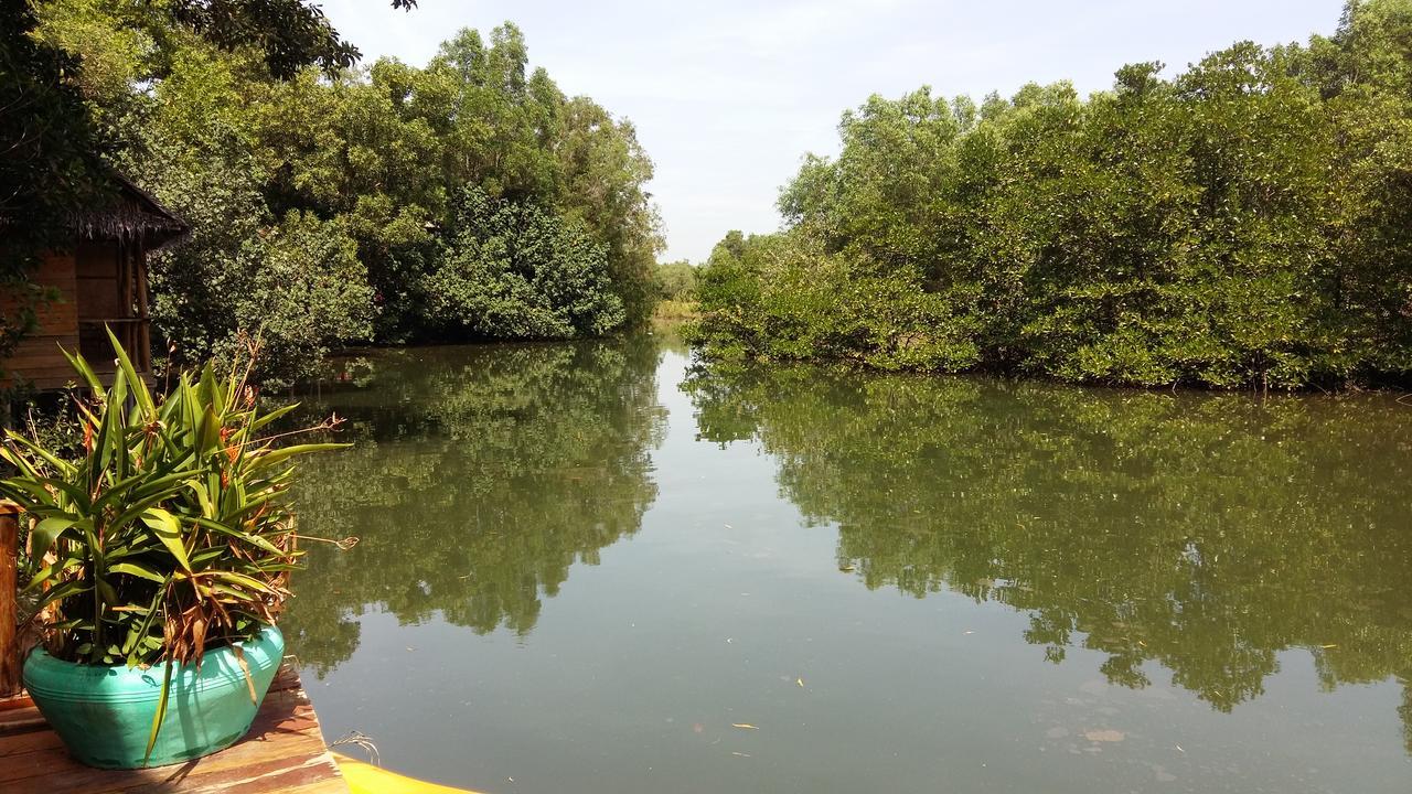 Mangroves & More @ Cambodia Sihanoukville Exteriör bild